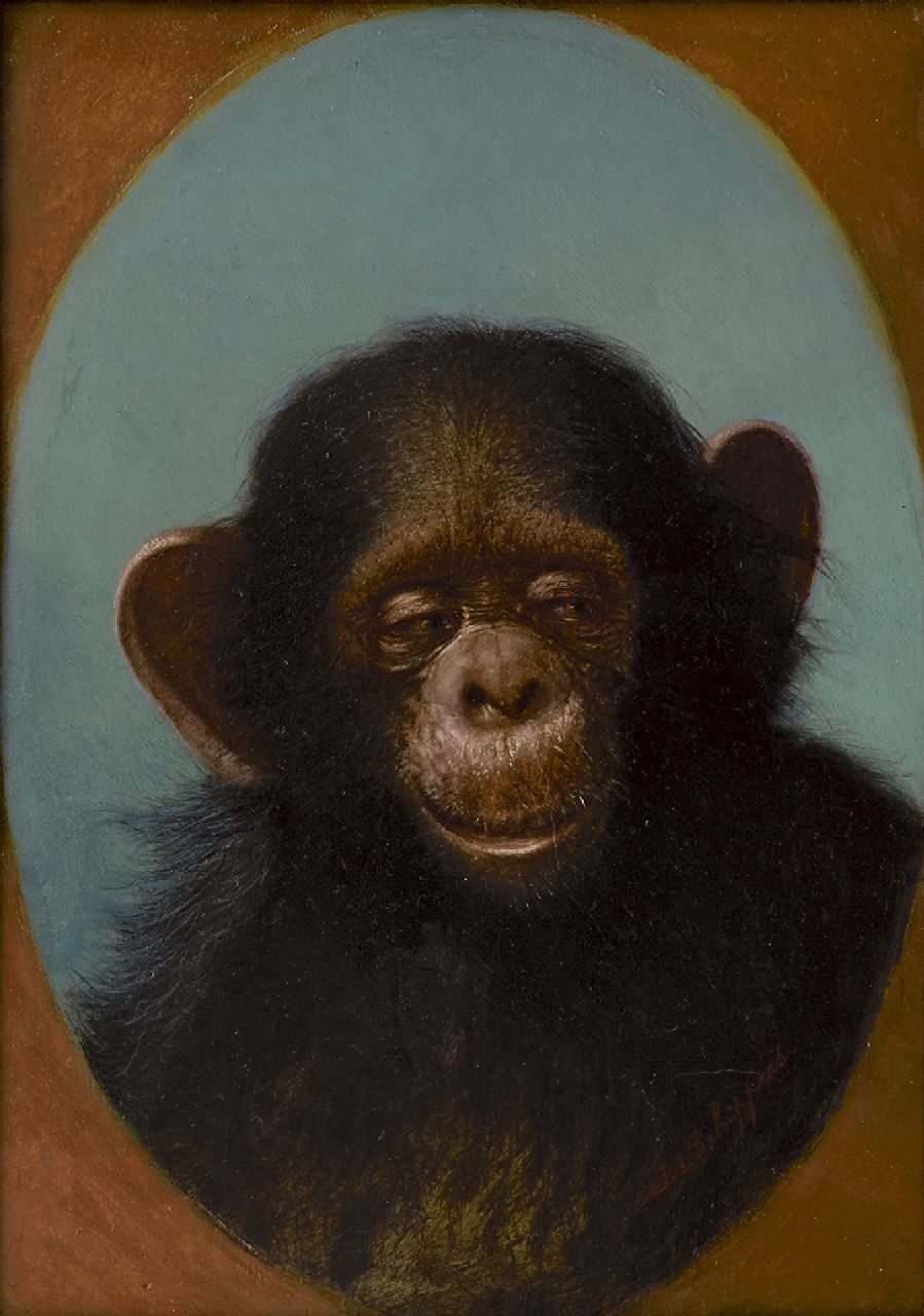 Schippers J.  | Joseph Schippers, Study of a chimpanzee, oil on panel 27.1 x 19.4 cm, signed l.r. and dated on the reverse 'Anvers' 3/2 1929