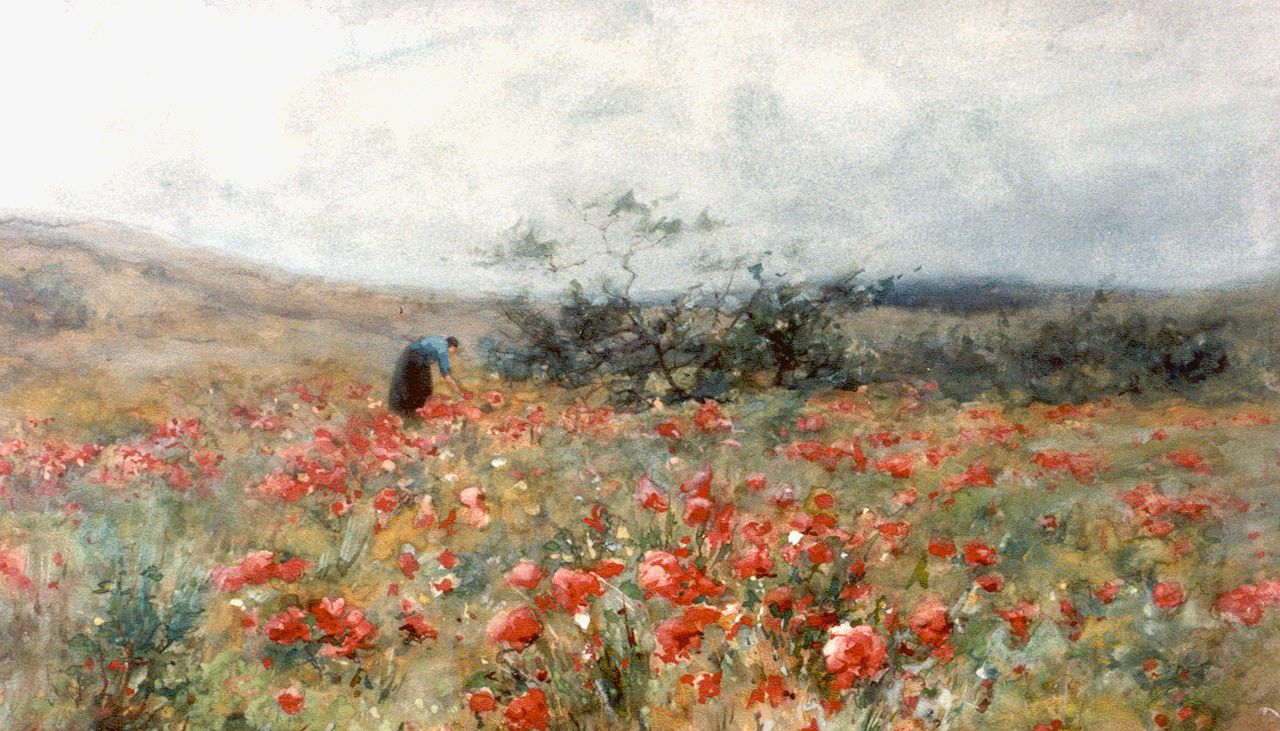 Wijsmuller J.H.  | Jan Hillebrand Wijsmuller, A field with poppies, watercolour on paper 31.5 x 51.5 cm