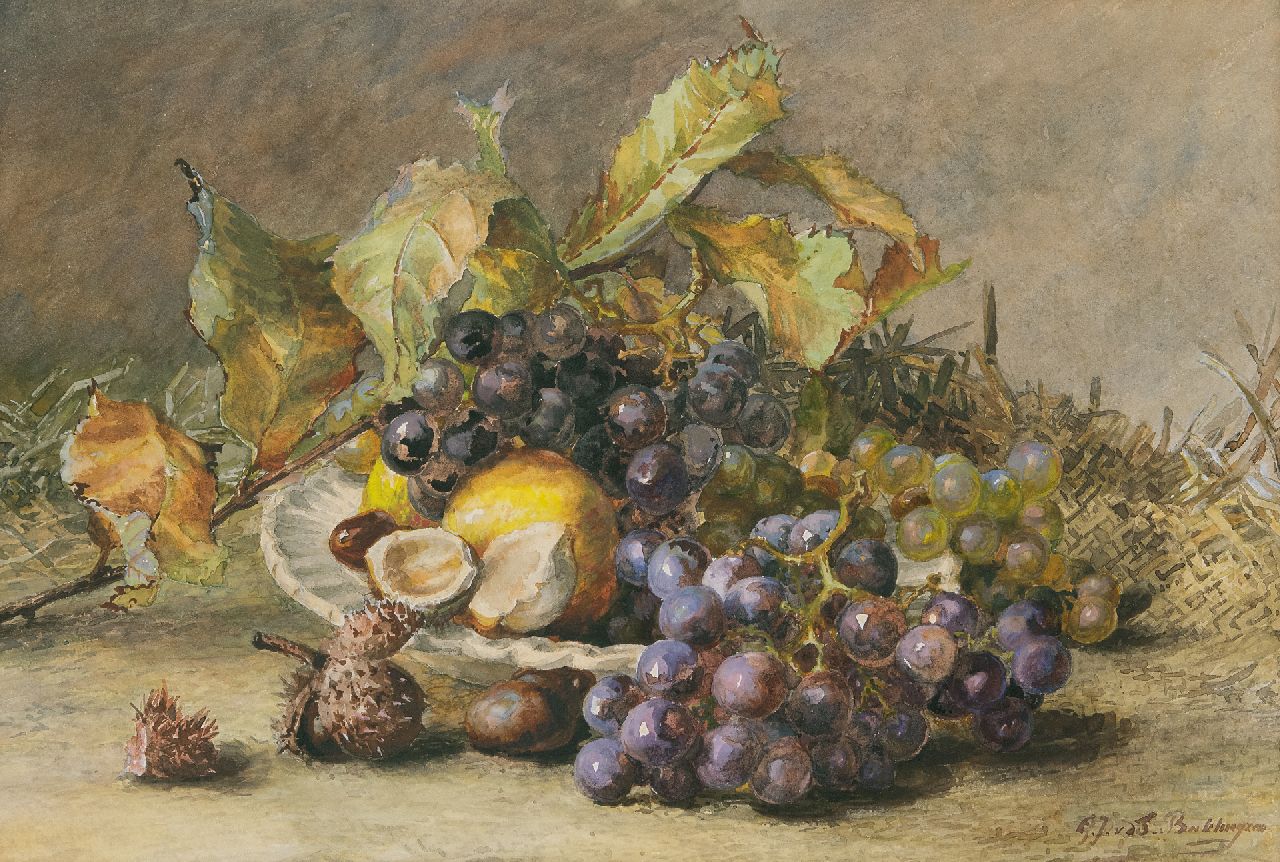 Sande Bakhuyzen G.J. van de | 'Gerardine' Jacoba van de Sande Bakhuyzen, A still life with grapes and chestnuts, watercolour on paper 34.5 x 50.3 cm, signed l.r.