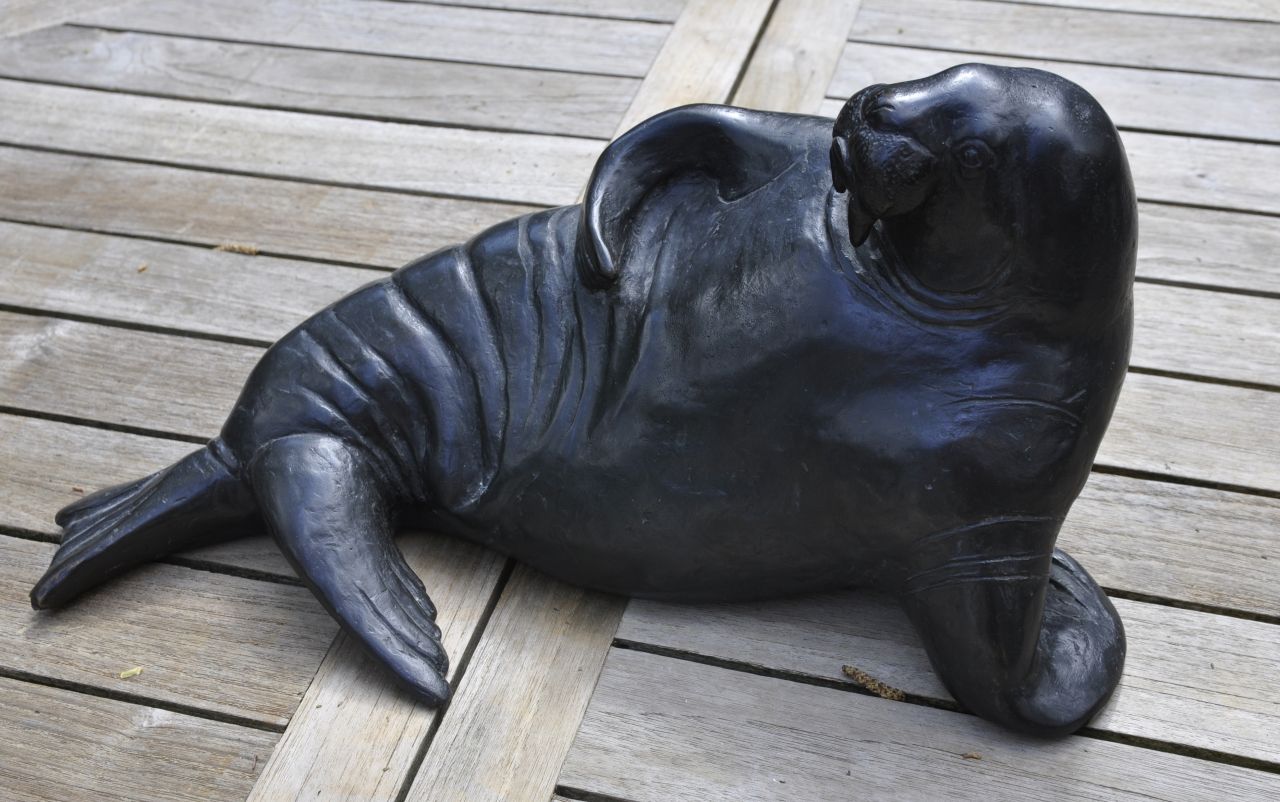 Dachlauer R.  | Reinhard Dachlauer, Walrus, bronze 18.0 cm, signed with monogram on the back