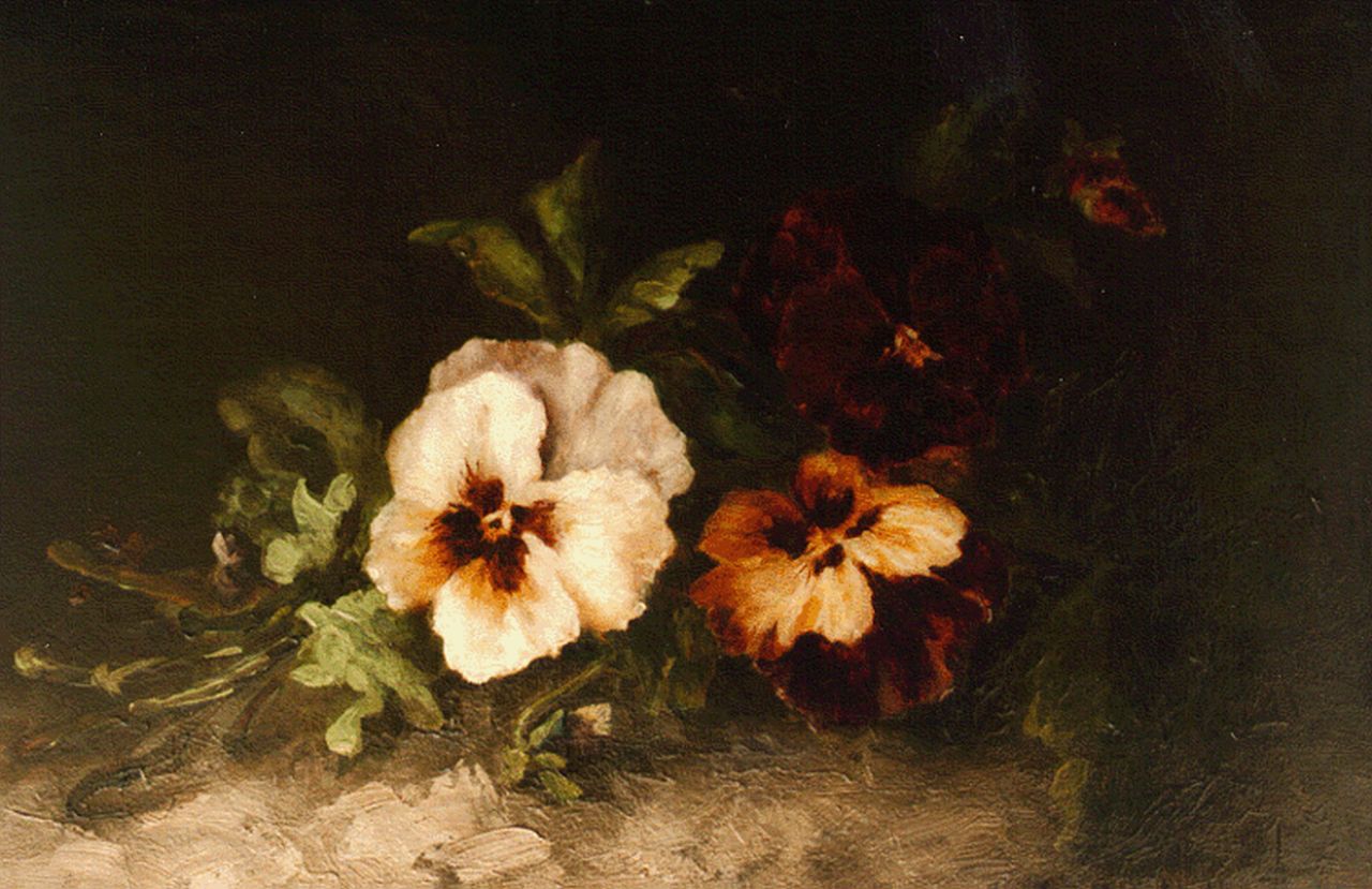 Meijer M.  | Margaret Meijer, Violets, oil on canvas 27.5 x 40.0 cm, signed l.r.