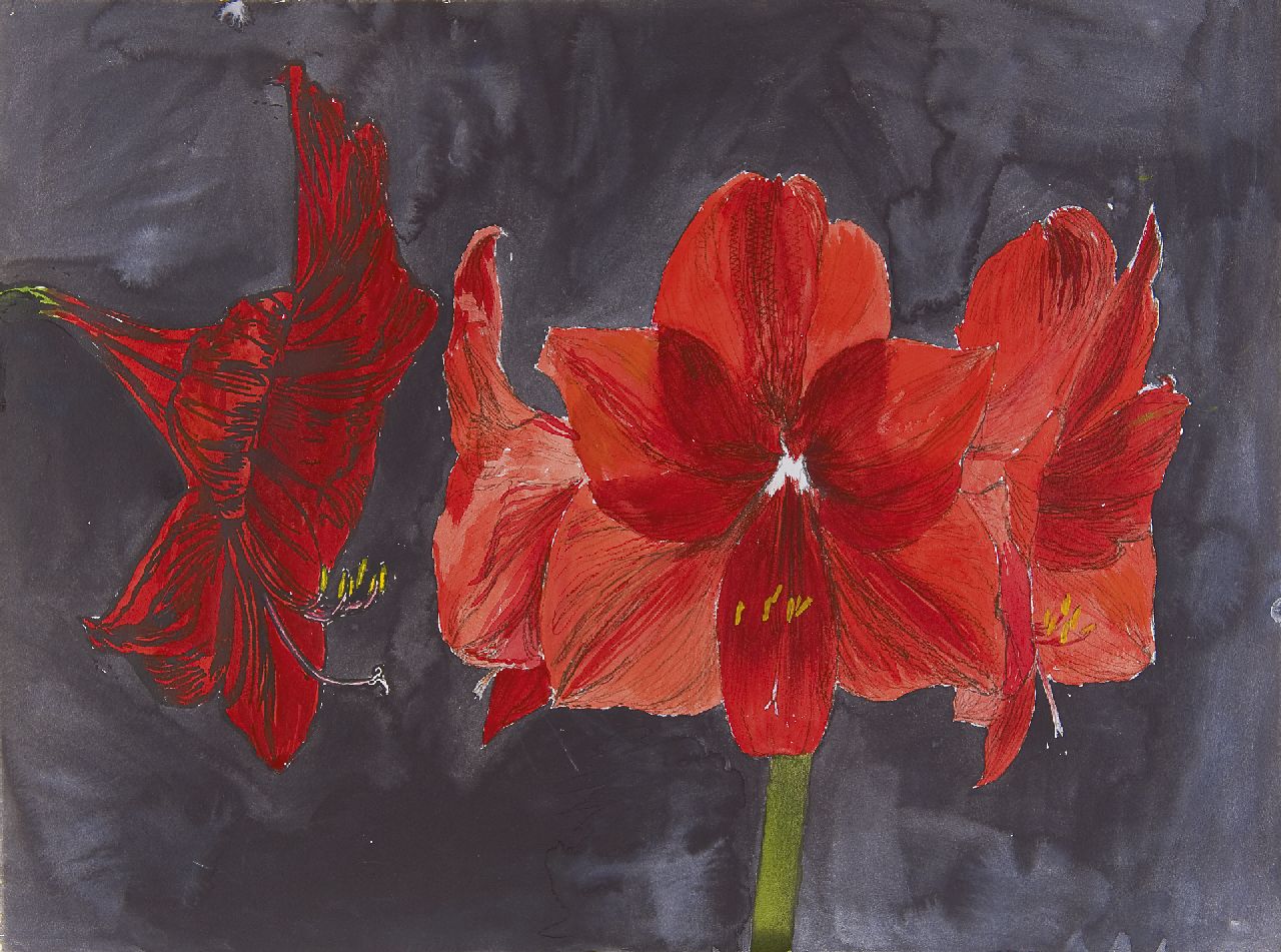 Andriesse E.B.  | Erik Bart Andriesse, Amaryllis, mixed media on paper 49.7 x 66.5 cm, painted ca. 1990
