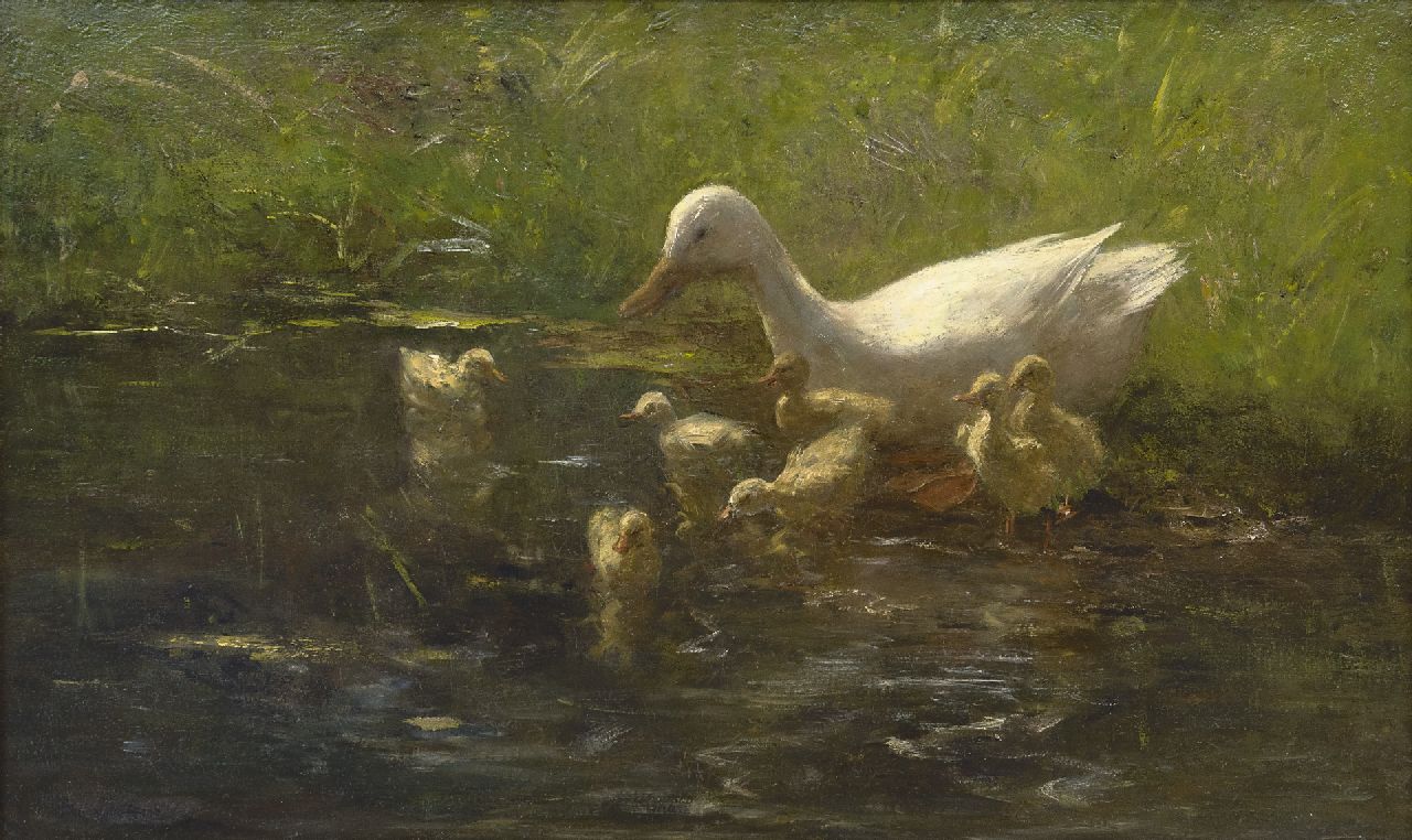 Maris W.  | Willem Maris, Mother duck with ducklings, oil on canvas 55.3 x 90.3 cm, signed l.l.
