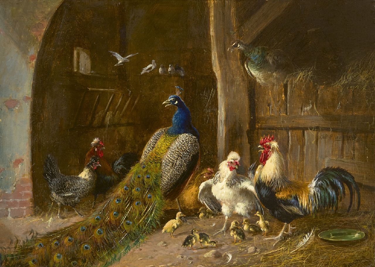 Scheuerer J.  | Julius Scheuerer, Peacock couple with rooster and chickens in the barn, oil on panel 22.2 x 31.1 cm, signed c.r.