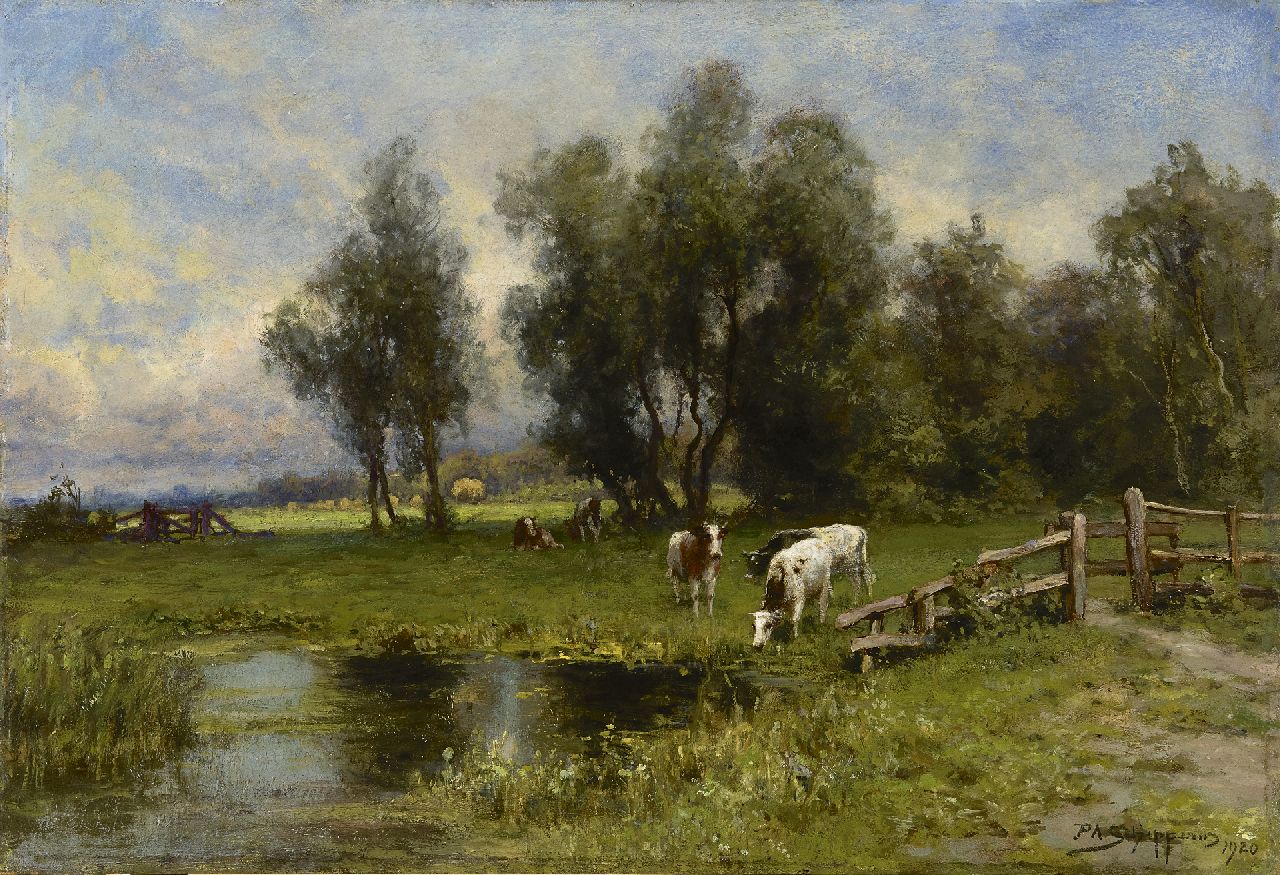 Schipperus P.A.  | Pieter Adrianus 'Piet' Schipperus, A polder landscape with cattle, oil on panel 46.4 x 67.7 cm, signed l.r. and dated 1920