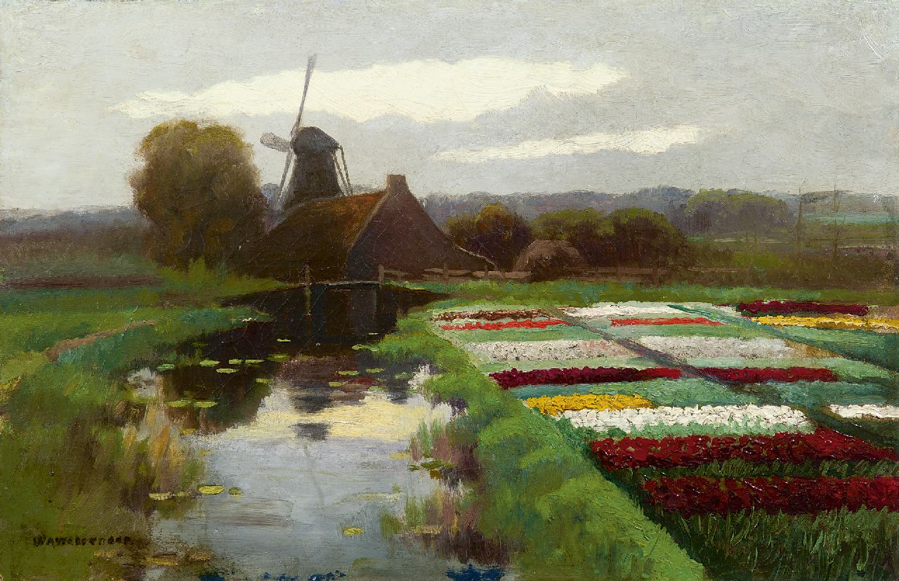 Wassenaar W.A.  | Willem Abraham Wassenaar, Tulip fields near a windmill, oil on canvas 33.2 x 50.4 cm, signed l.l.