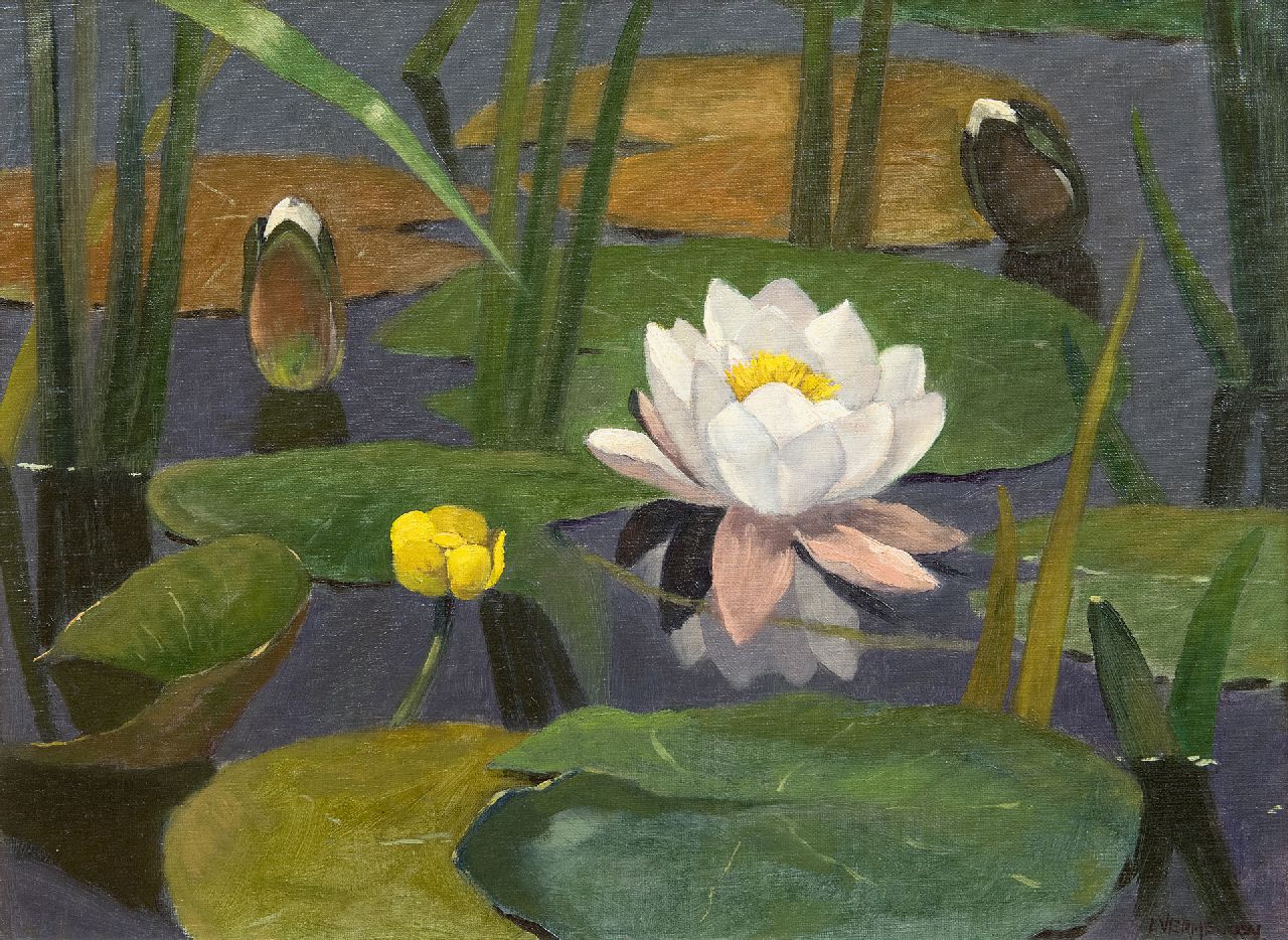 Vermeulen A.  | Adriaan Vermeulen, Waterlillies, oil on canvas 30.4 x 40.7 cm, signed l.r.