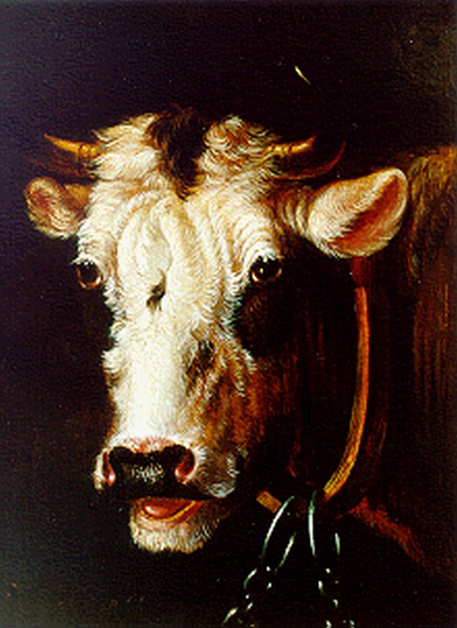 Verhoesen A.  | Albertus Verhoesen, A bull's head, oil on panel 16.7 x 14.0 cm, signed l.l.