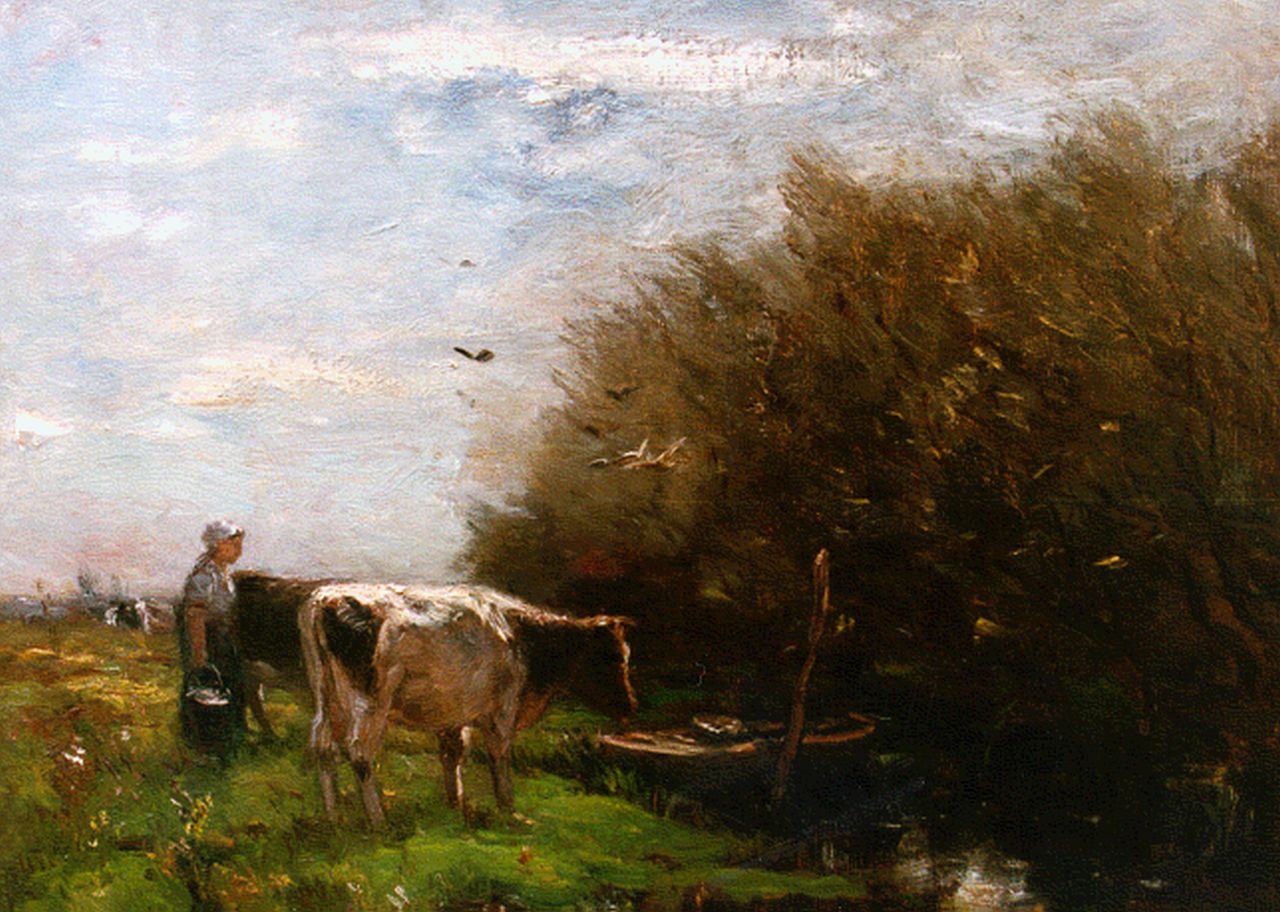 Maris W.  | Willem Maris, Melkvee in de wei, oil on canvas 51.5 x 58.5 cm, gesigneerd linksonder
