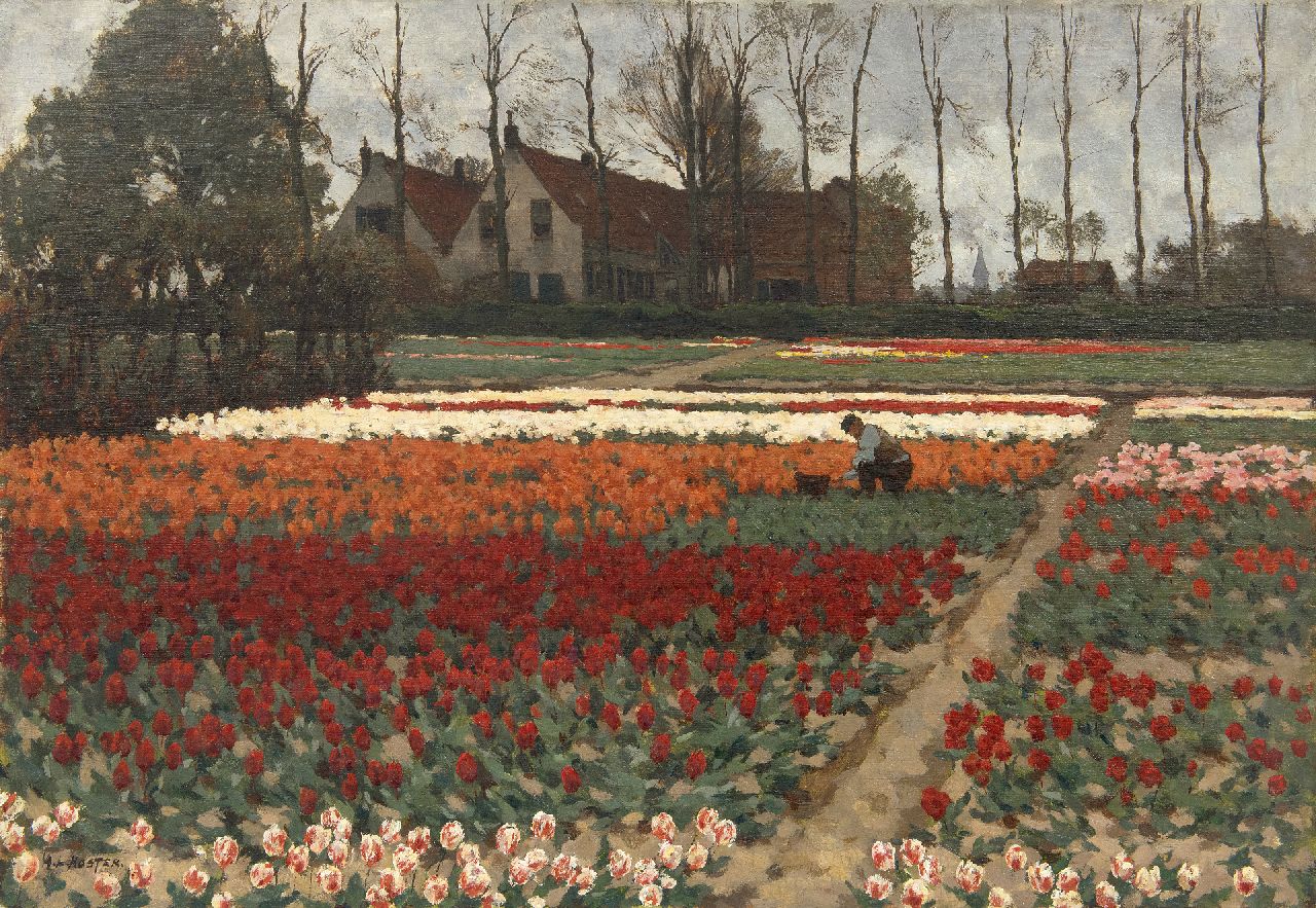 Koster A.L.  | Anton Louis 'Anton L.' Koster | Paintings offered for sale | Working in the tulip fields, Overveen, oil on canvas 52.4 x 75.6 cm, signed l.l.