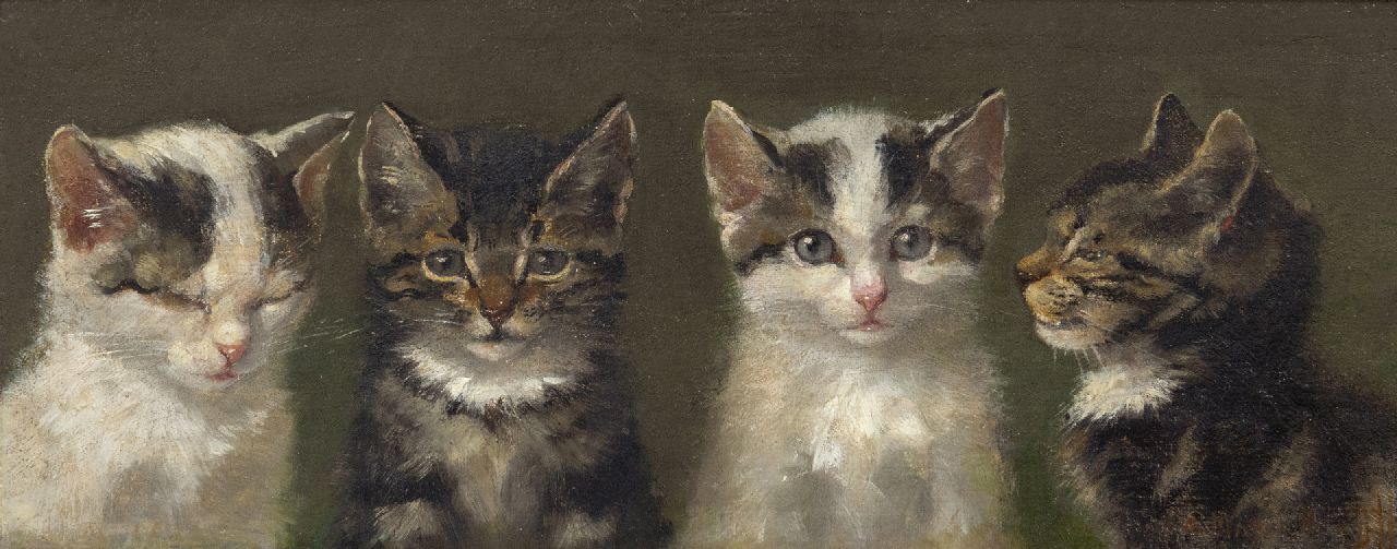 Kruijff A.M.  | Anna Maria Kruijff, Four cats, oil on panel 14.7 x 36.3 cm, signed l.r.