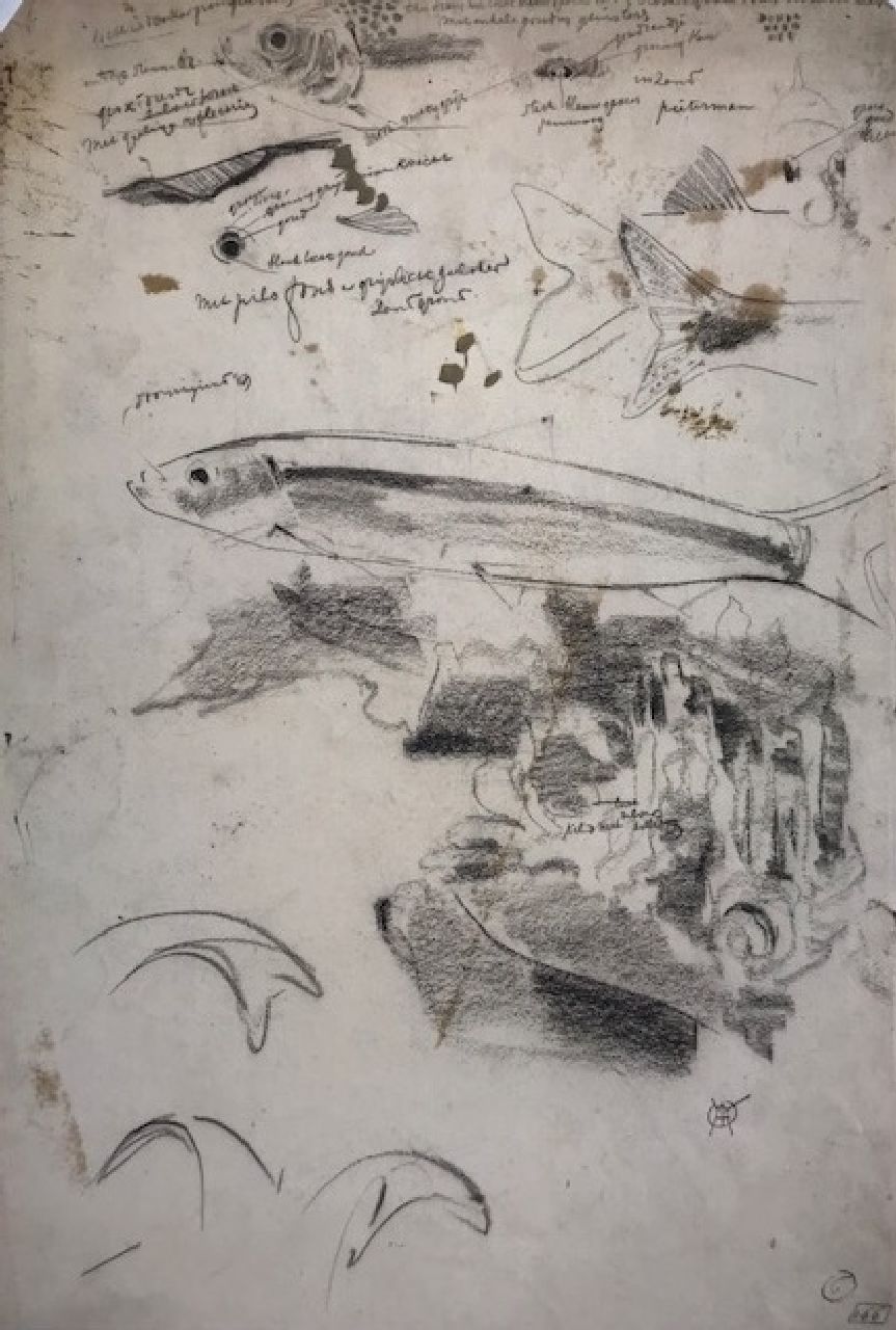 Dijsselhof G.W.  | Gerrit Willem Dijsselhof | Watercolours and drawings offered for sale | Colour study of fishes, charcoal on paper 42.1 x 28.6 cm, signed l.r. with monogram