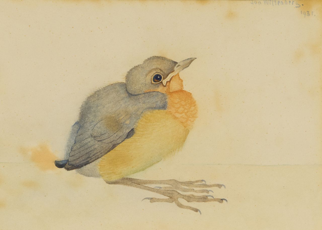 Wittenberg J.H.W.  | 'Jan' Hendrik Willem Wittenberg, A young blackbird, watercolour on paper 13.0 x 18.0 cm, signed u.r. and dated 1931