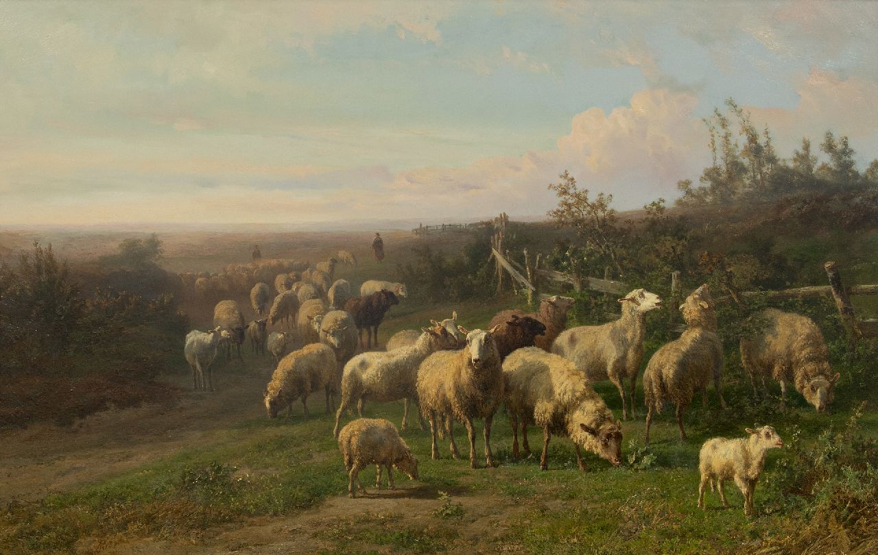 Tom J.B.  | Jan Bedijs Tom, Sheep in a vast landscape, oil on panel 60.3 x 94.0 cm, signed l.l.