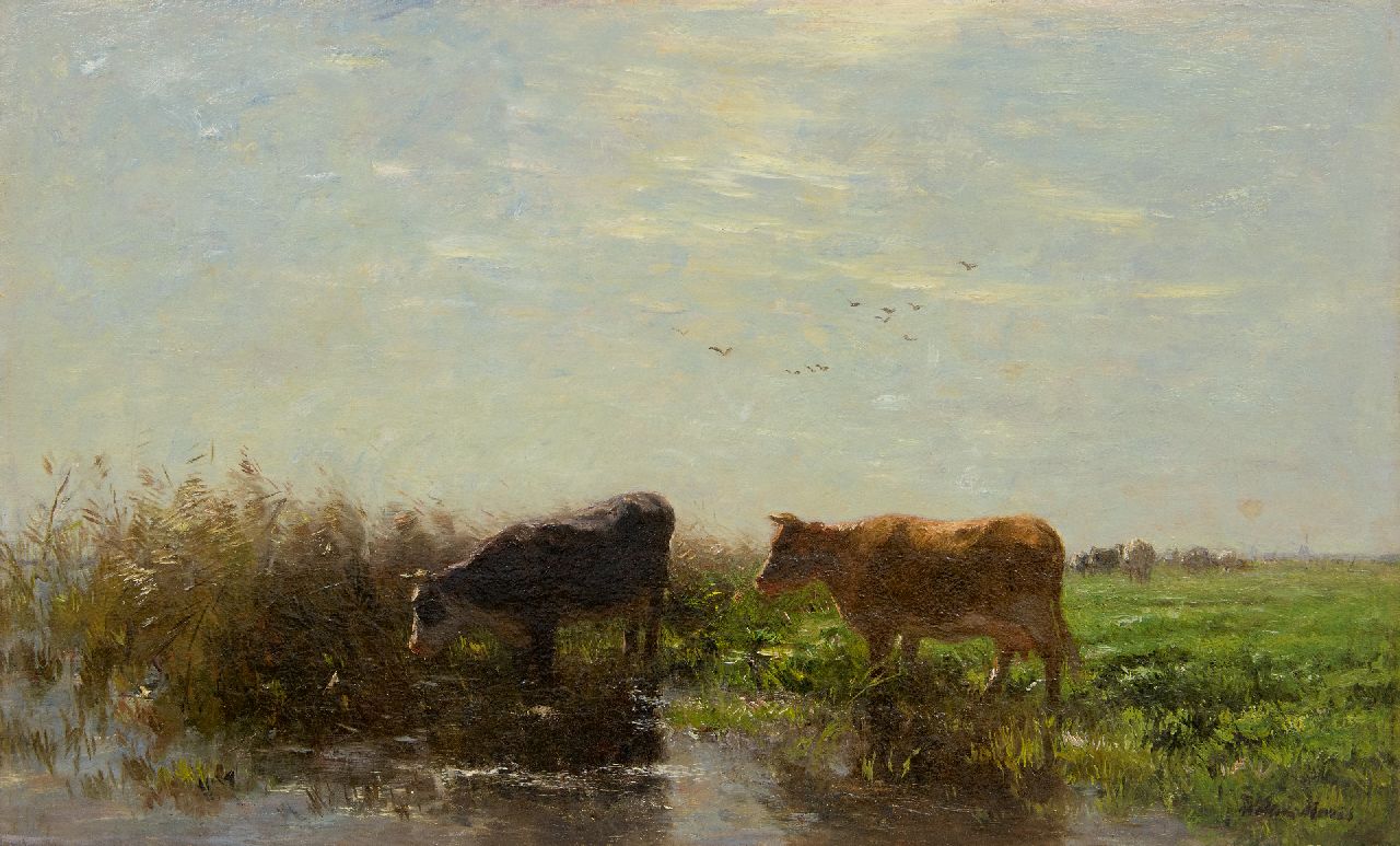 Maris W.  | Willem Maris, Two cows in a Dutch landscape, oil on canvas 53.6 x 78.5 cm, signed l.r.
