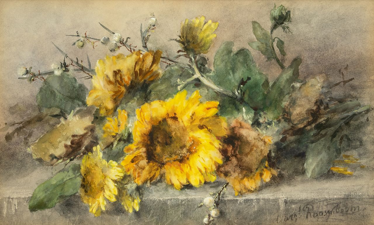 Roosenboom M.C.J.W.H.  | 'Margaretha' Cornelia Johanna Wilhelmina Henriëtta Roosenboom, Sunflowers on a stone ledge, watercolour on paper 44.3 x 74.8 cm, signed l.r.