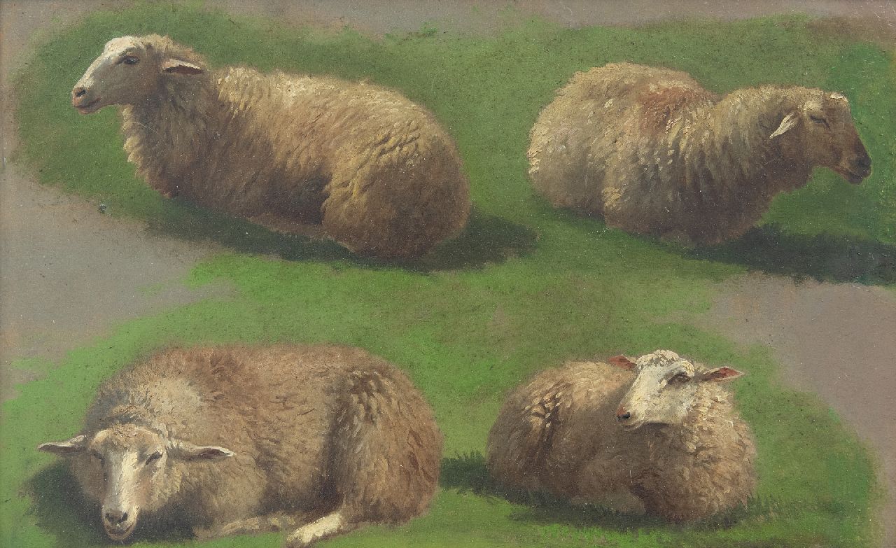 Lebret F.  | Frans Lebret, Study of sheep, oil on paper laid down on panel 23.4 x 37.0 cm