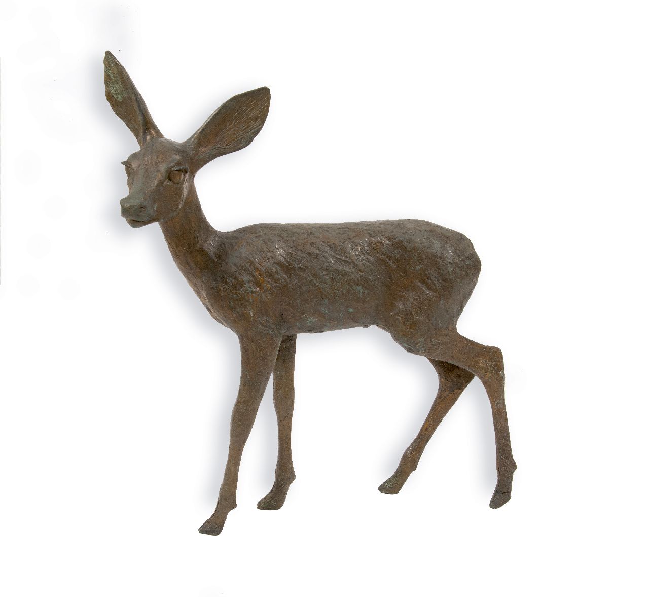 Arentz K.E.H.  | 'Kurt' Emil Hugo Arentz, A young deer, standing, bronze 61.0 cm, signed on the belly