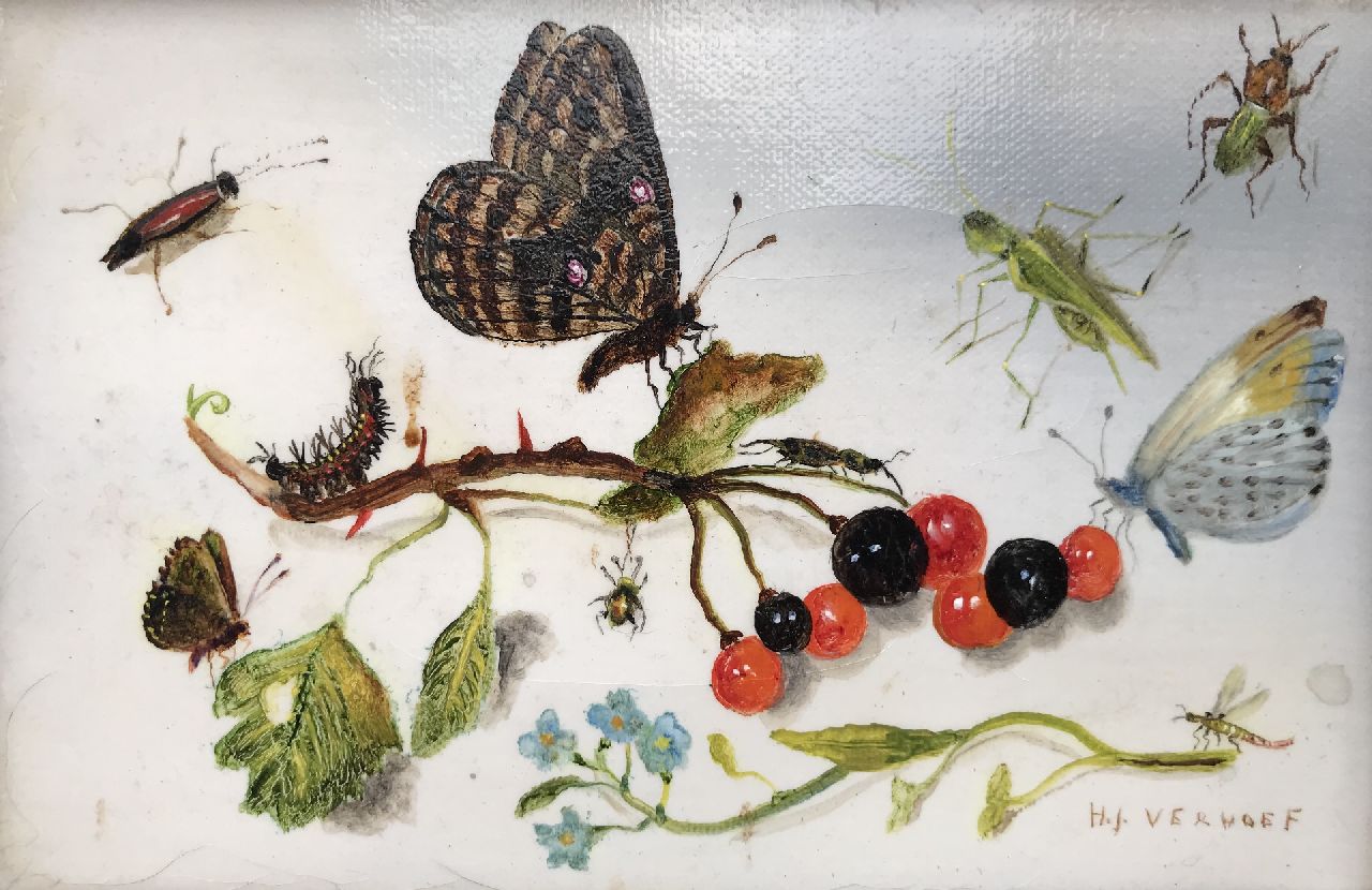 Verhoef H.  | Hans Verhoef | Paintings offered for sale | A still life with butterflies, insects and berries, oil on canvas 10.3 x 15.5 cm, signed l.r.