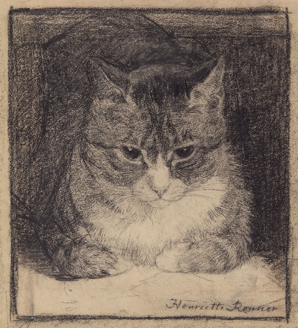 Ronner-Knip H.  | Henriette Ronner-Knip, Portrait of a cat, charcoal on paper 25.2 x 23.5 cm, signed l.r.