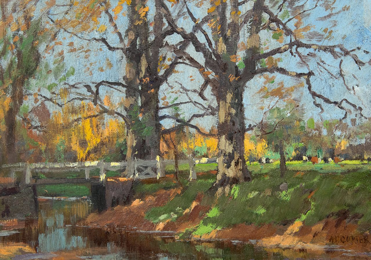 Gorter A.M.  | 'Arnold' Marc Gorter | Paintings offered for sale | Sunlit trees near a ditch (at Het Loo), oil on panel 26.0 x 36.6 cm, signed l.r. and painted ca. 1920