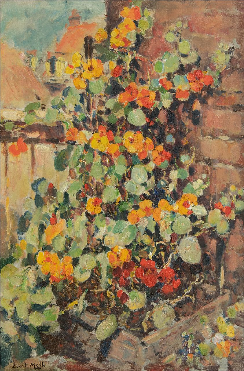 Moll E.  | Evert Moll, Nasturtium, oil on canvas 60.1 x 40.0 cm, signed l.l.