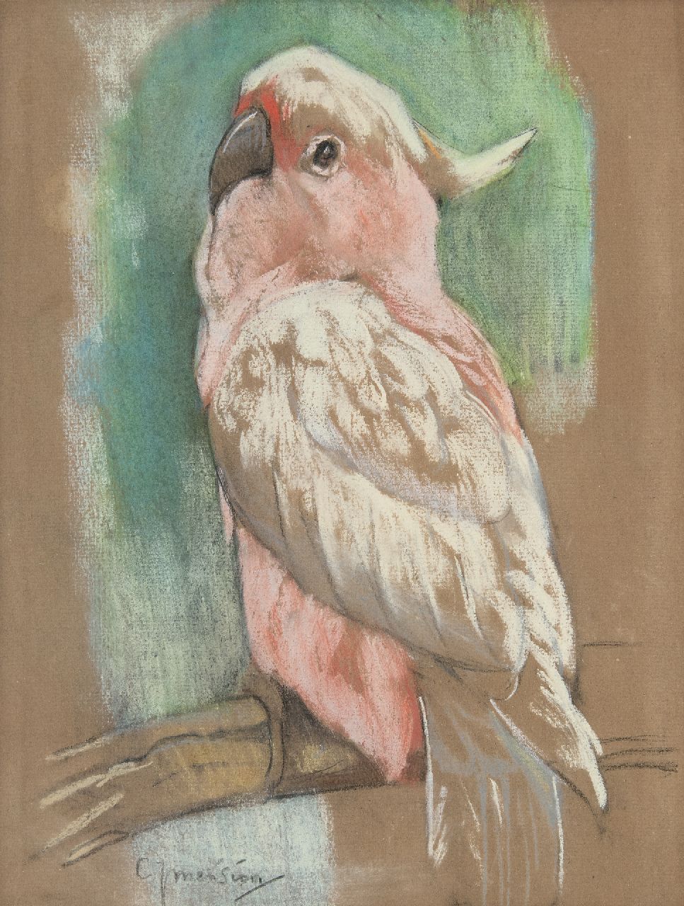 Mension C.J.  | Cornelis Jan Mension | Watercolours and drawings offered for sale | Pink cockatoo, pastel on paper 31.1 x 23.7 cm, signed l.l.