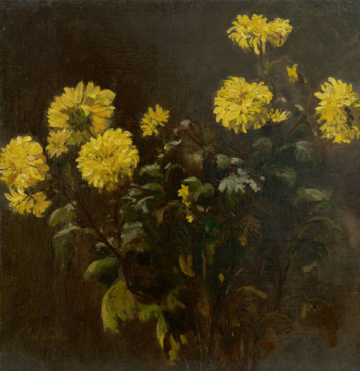 Windt Ch. van der | Christophe 'Chris' van der Windt | Paintings offered for sale | Chrysanthemums, oil on canvas 43.4 x 42.0 cm, signed l.l.