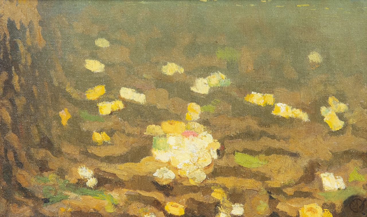 Dijsselhof G.W.  | Gerrit Willem Dijsselhof, Sea anemones, oil on canvas 15.4 x 24.0 cm, signed l.r. with monogram