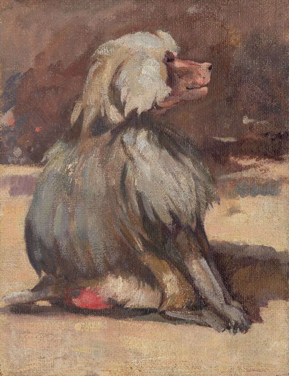 Bruigom M.C.  | Margaretha Cornelia 'Greta' Bruigom, Mantle baboon, oil on canvas laid down on panel 36.5 x 28.7 cm, signed on the reverso