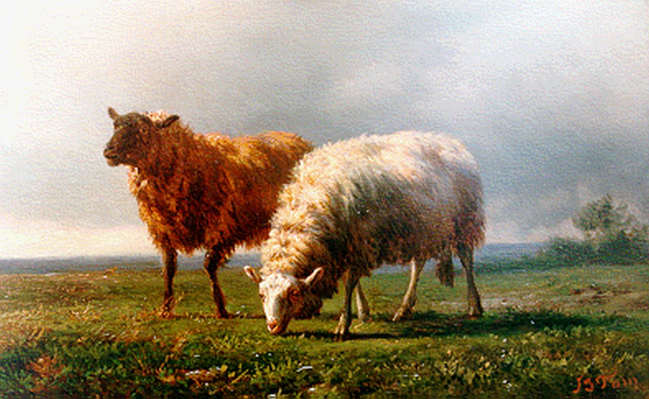 Tom J.B.  | Jan Bedijs Tom, Sheep in a landscape, oil on panel 14.6 x 22.8 cm, signed l.r.