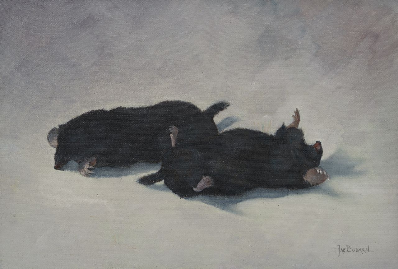 Bodaan J.J.  | Johan Jacob Bodaan, Two moles, oil on canvas 25.0 x 37.0 cm, signed l.r.