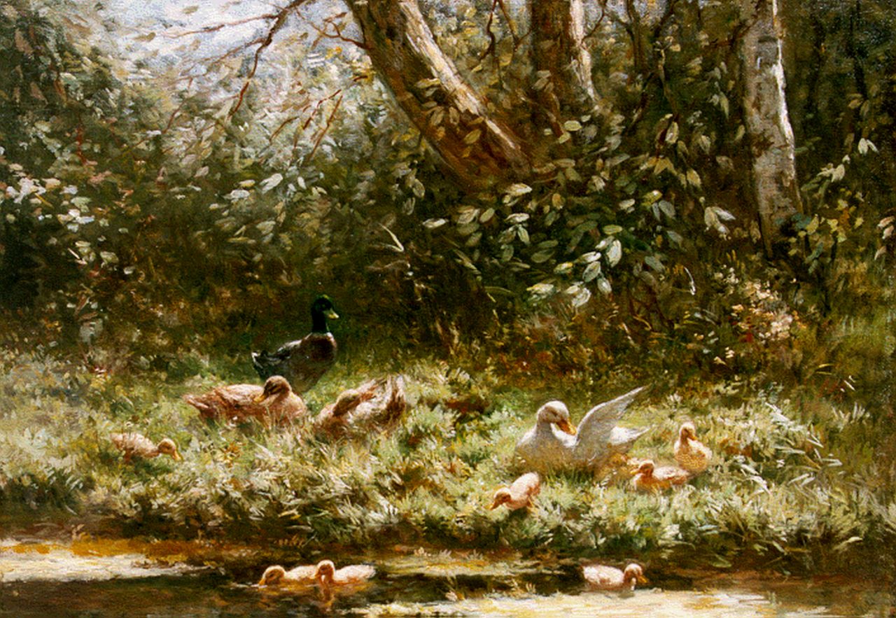 Artz C.D.L.  | 'Constant' David Ludovic Artz, Ducks with ducklings on the riverbank in summer, oil on canvas 30.0 x 40.2 cm, signed l.l.