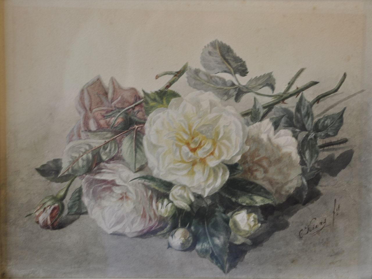 Kiers C.I.  | 'Catharina' Isabella Kiers | Watercolours and drawings offered for sale | Roses, watercolour on paper 24.0 x 31.5 cm, signed l.r.
