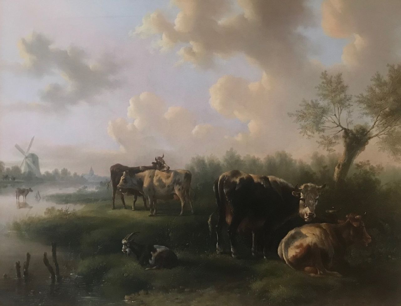 Verhoesen A.  | Albertus Verhoesen | Paintings offered for sale | Resting cattle by a river, oil on canvas 62.2 x 80.0 cm, signed l.c. and dated 1849