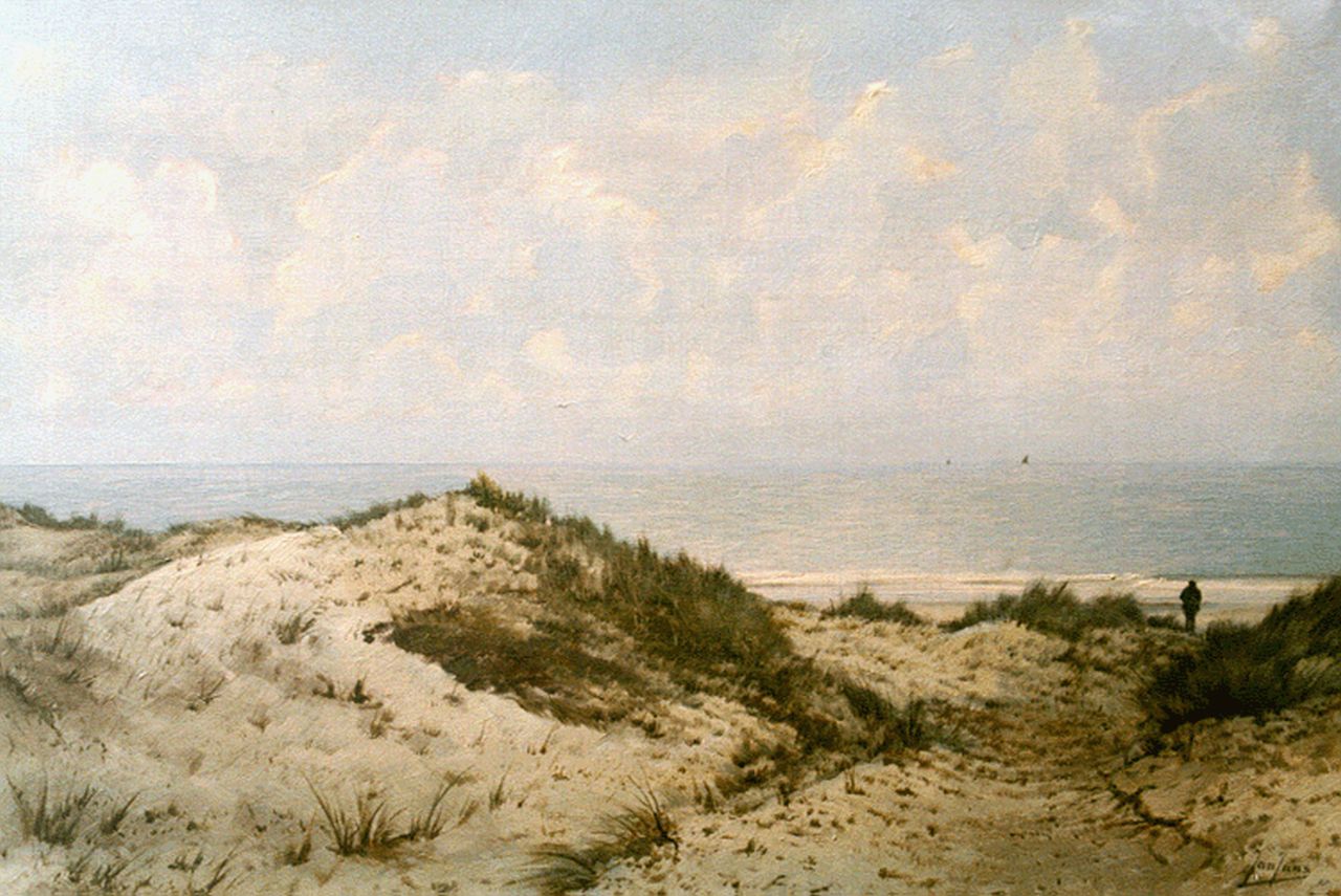 Jans J.  | Jan Jans, Dune landscape, Koudekerke, oil on canvas 40.0 x 59.7 cm, signed l.r.