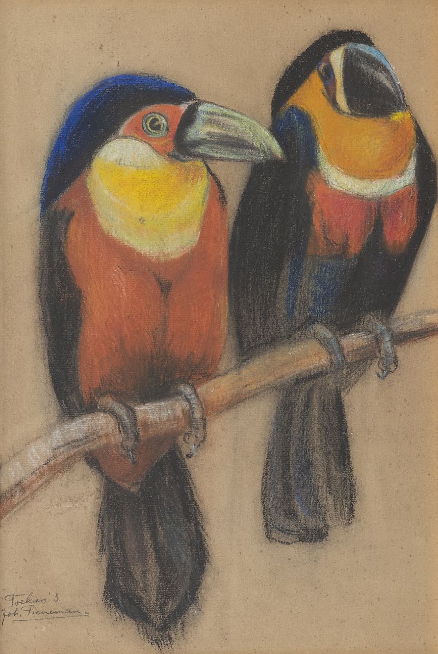 Pieneman J.H.  | 'Johanna' Hendrika Pieneman | Watercolours and drawings offered for sale | Two toucans, pastel on paper 36.7 x 25.0 cm, signed l.l.