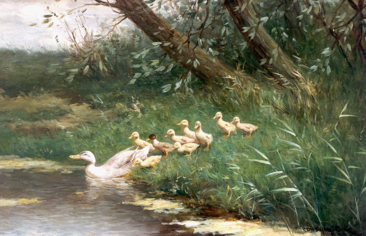 Artz C.D.L.  | 'Constant' David Ludovic Artz, A duck with ducklings watering, oil on canvas 39.7 x 60.0 cm, signed l.r.