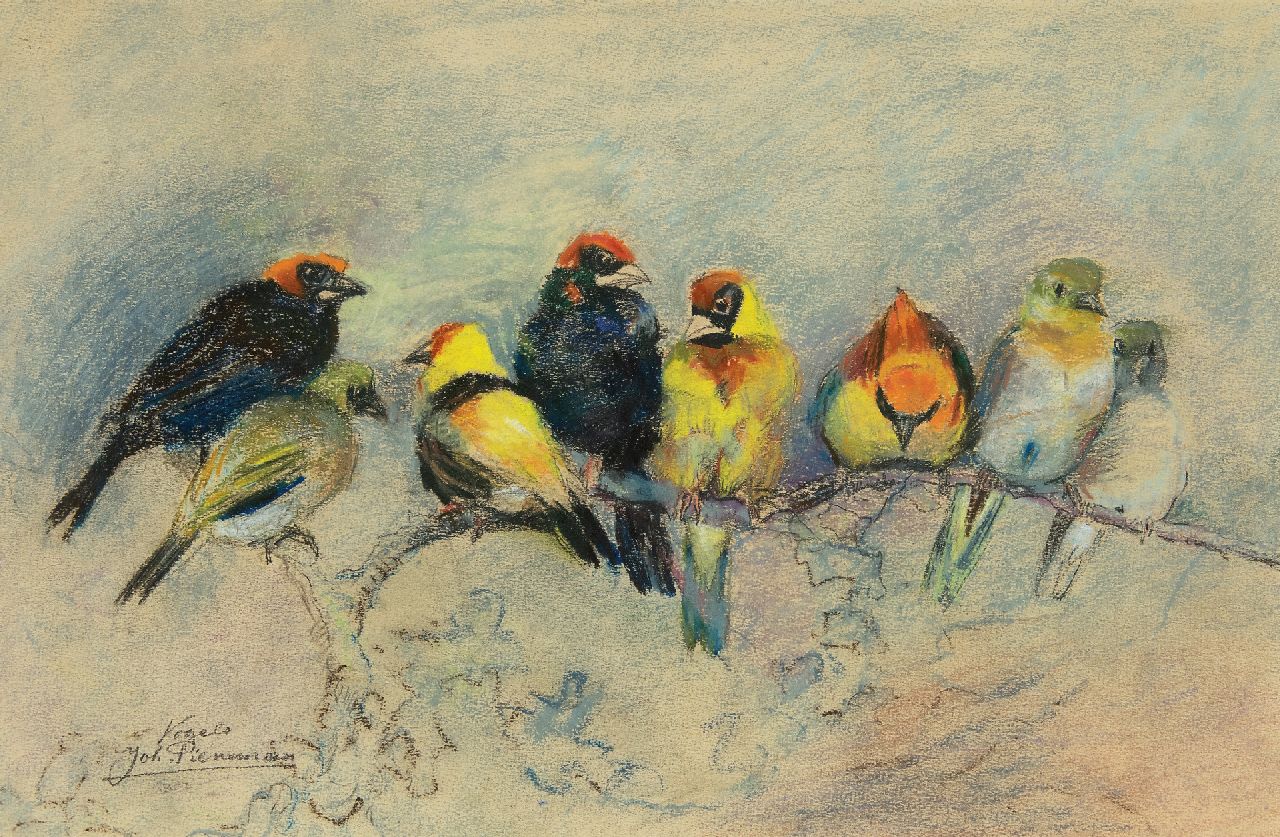 Pieneman J.H.  | 'Johanna' Hendrika Pieneman, Birds, pastel on paper 26.9 x 41.5 cm, signed l.l.