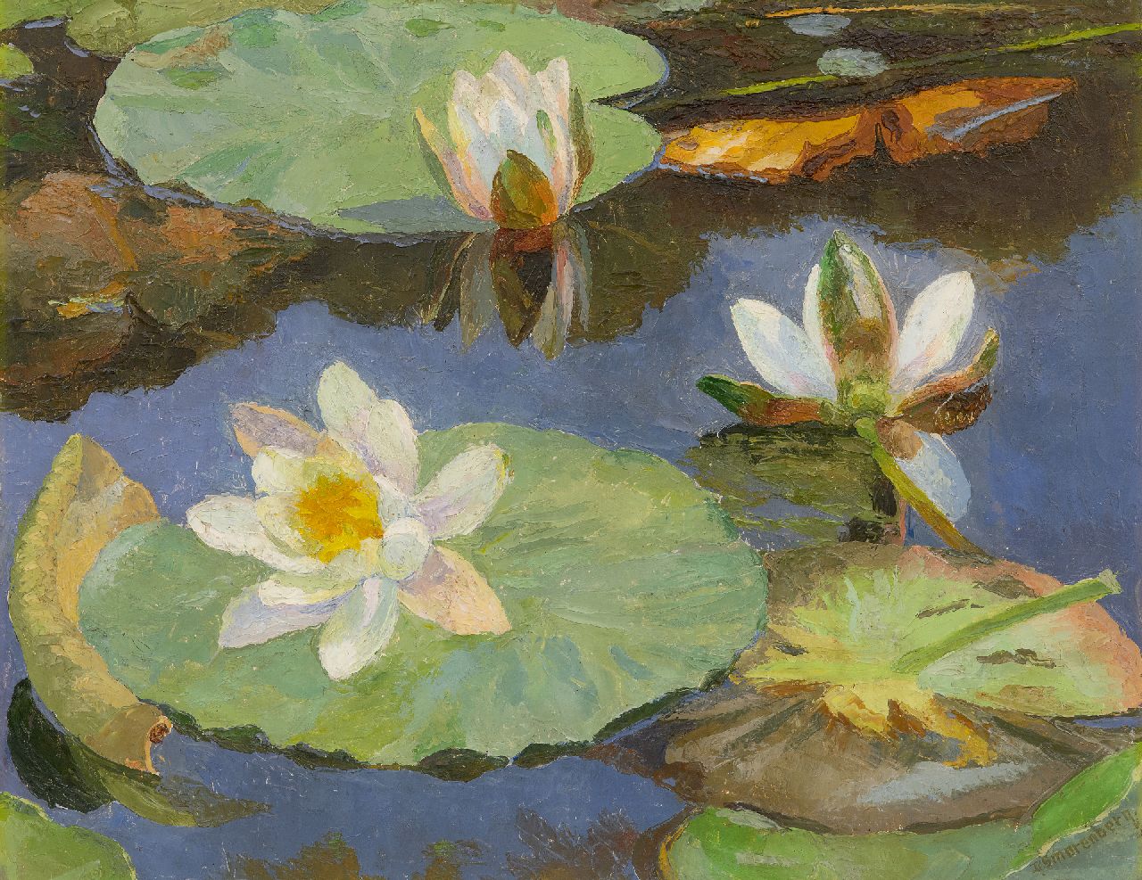 Smorenberg D.  | Dirk Smorenberg | Paintings offered for sale | Waterlilies, oil on canvas 41.2 x 53.3 cm, signed l.r.