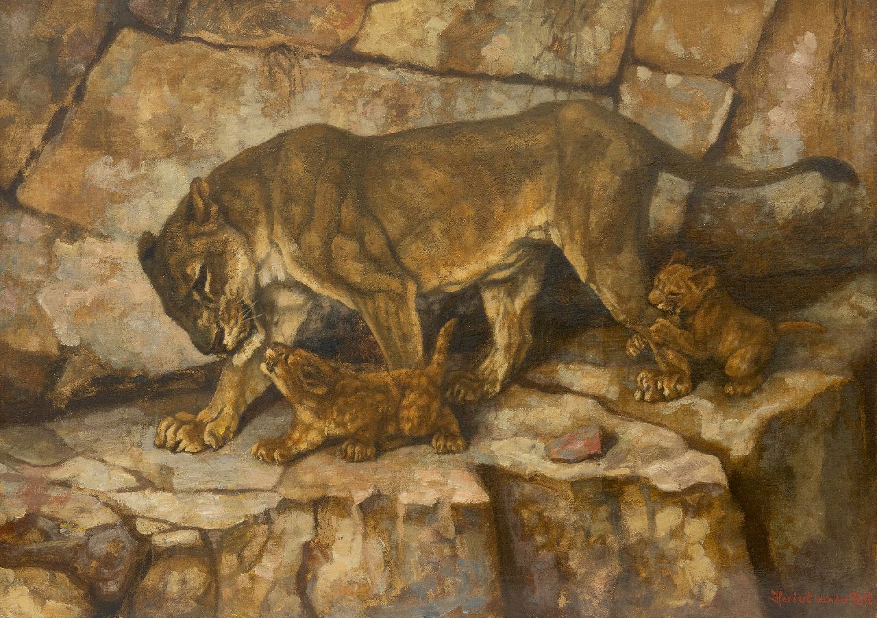 Poll D.H. van der | Daniël Herbert van der Poll | Paintings offered for sale | Lioness with her cubs, oil on canvas 49.5 x 69.8 cm, signed l.r.