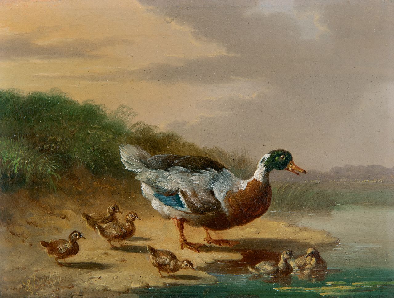Verhoesen A.  | Albertus Verhoesen, Duck and ducklings by the water, oil on panel 13.2 x 17.0 cm, signed l.l. and dated 1841