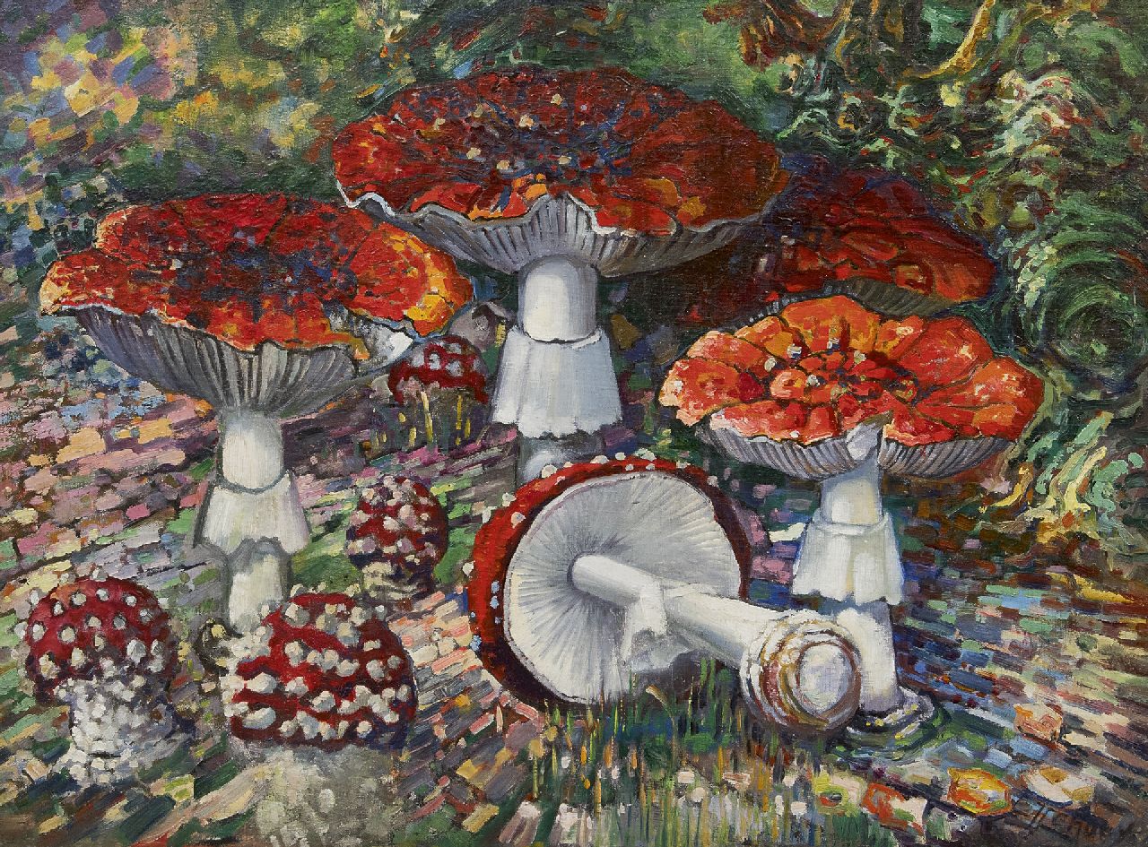 Lanooy C.J.  | Christiaan Johannes 'Chris' Lanooy, Fly agaric mushrooms, oil on canvas laid down on board 52.2 x 68.7 cm, signed l.r.