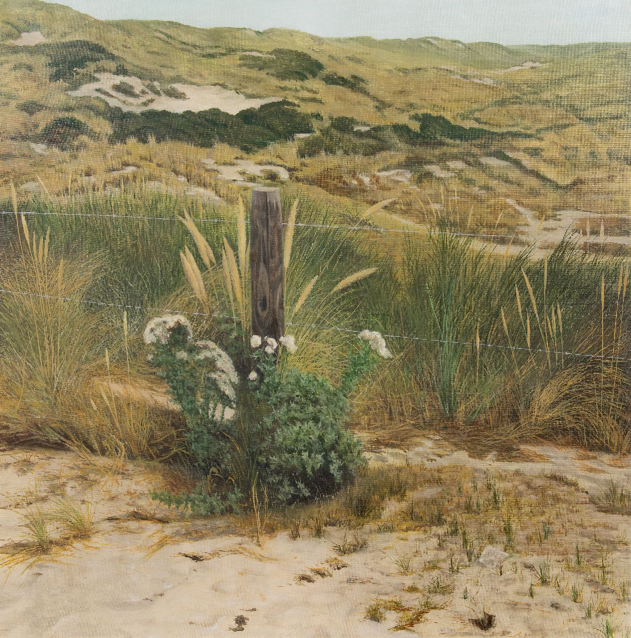 Loo P. van | Pieter 'Pit' van Loo | Paintings offered for sale | Still life in the dunes (Terschelling), oil on canvas 80.1 x 80.4 cm, signed l.r. on paper in the beach grass and dated '75