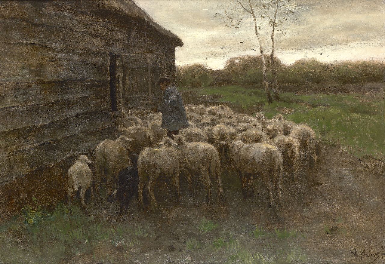 Mauve A.  | Anthonij 'Anton' Mauve, Sheep feeding, oil on canvas 55.5 x 80.7 cm, signed l.r.