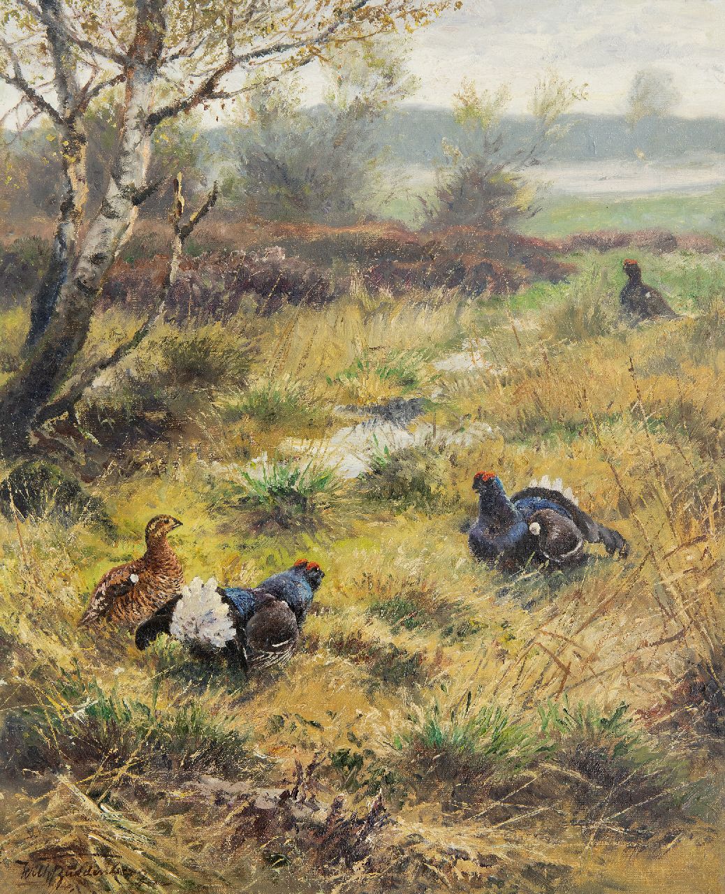 Buddenberg W.H.F.  | 'Wilhelm' Hermann Friedrich Buddenberg | Paintings offered for sale | Black grouses on the heath, oil on canvas 50.1 x 40.0 cm, signed l.l.