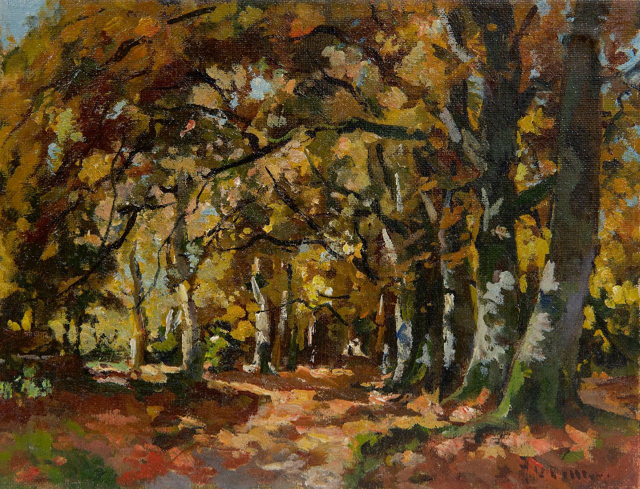 Vuuren J. van | Jan van Vuuren, Autumn forest, oil on canvas 19.2 x 25.2 cm, signed l.r.