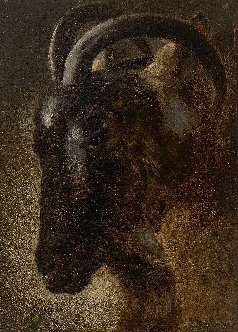 Jacques Janssens | Head of a ram, oil on panel, 22.2 x 16.2 cm, signed l.r.