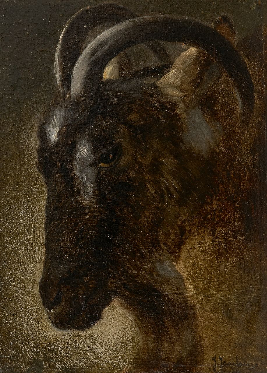 Janssens J.  | Jacques Janssens | Paintings offered for sale | Head of a ram, oil on panel 22.2 x 16.2 cm, signed l.r.