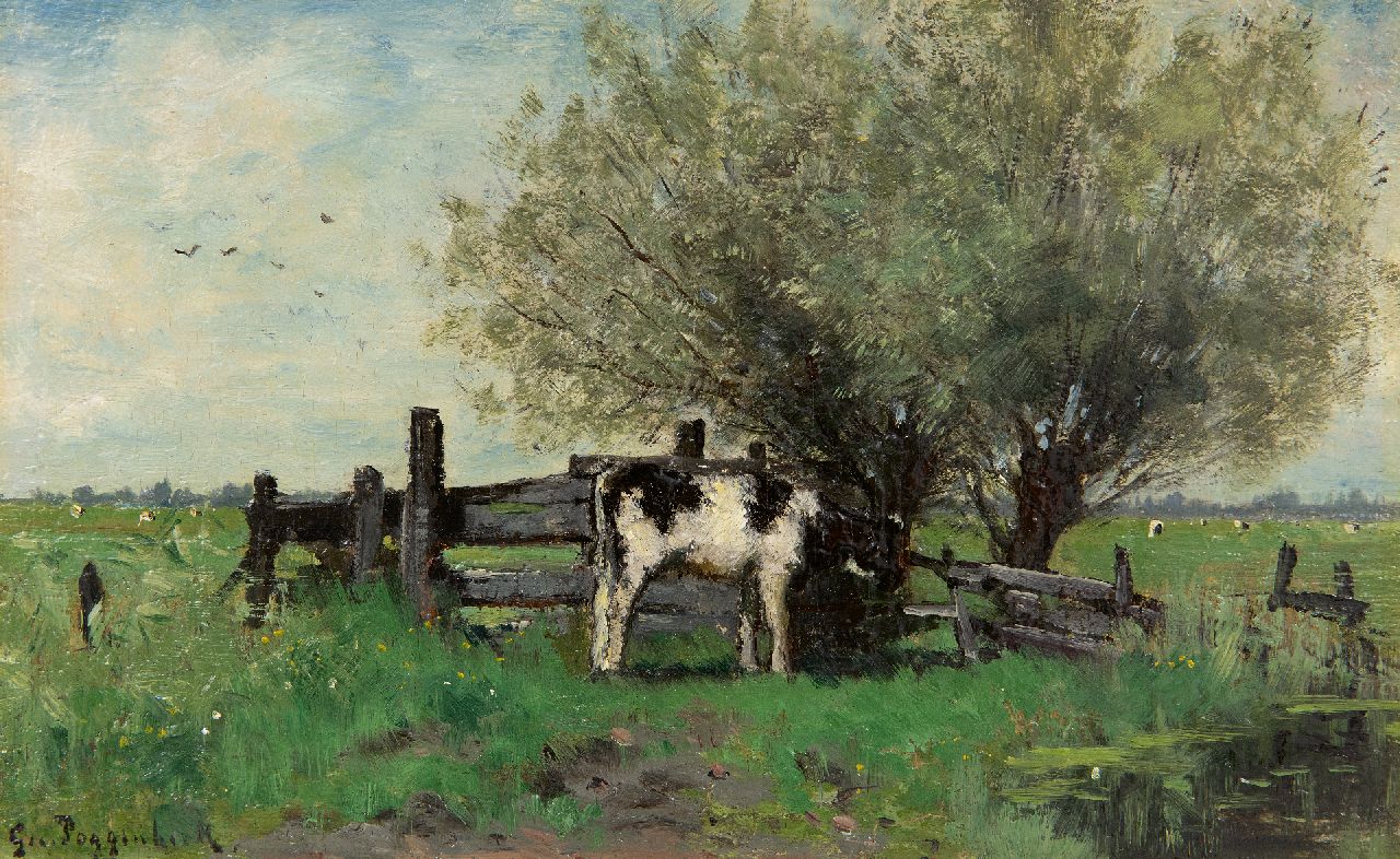 Poggenbeek G.J.H.  | George Jan Hendrik 'Geo' Poggenbeek | Paintings offered for sale | Young cow at a fence in the meadow, oil on panel 14.0 x 22.6 cm, signed l.l.